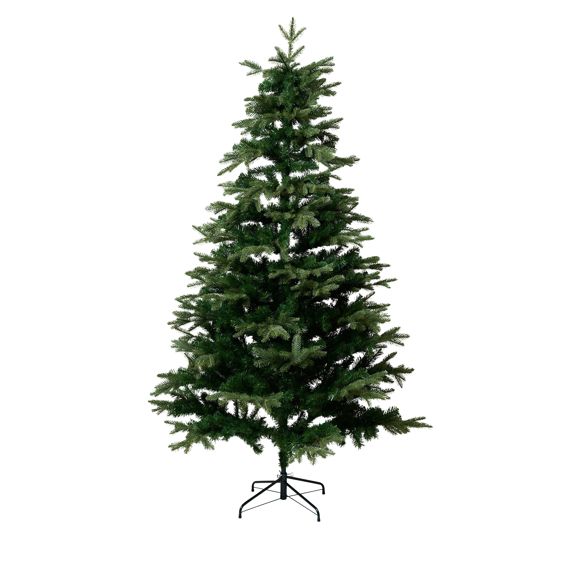 Weihnachtsbäume