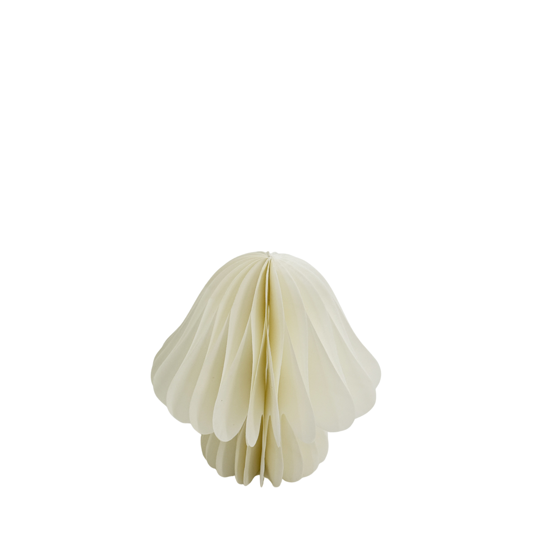 Vilda Papier-Pilz