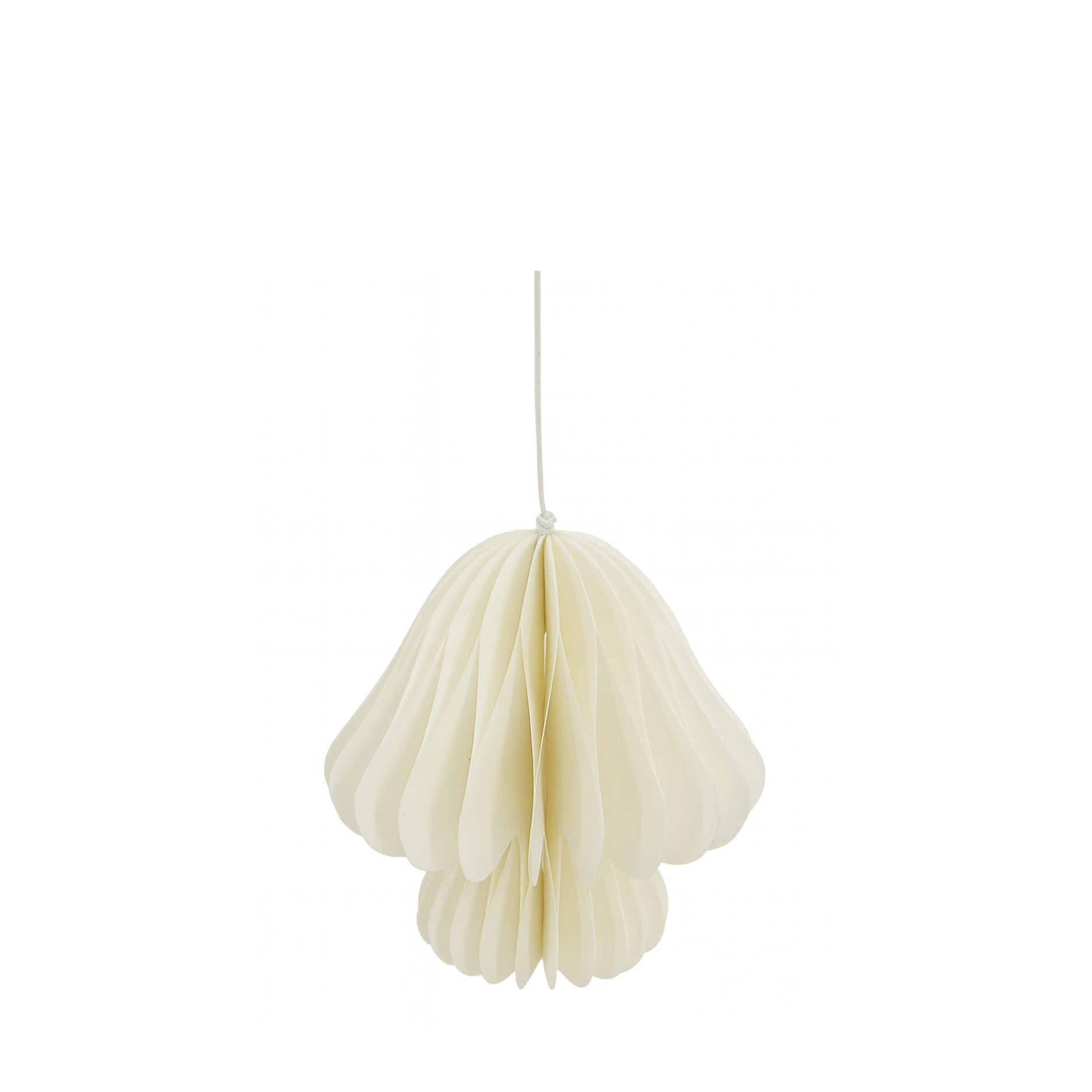 Vilda Papier-Pilz