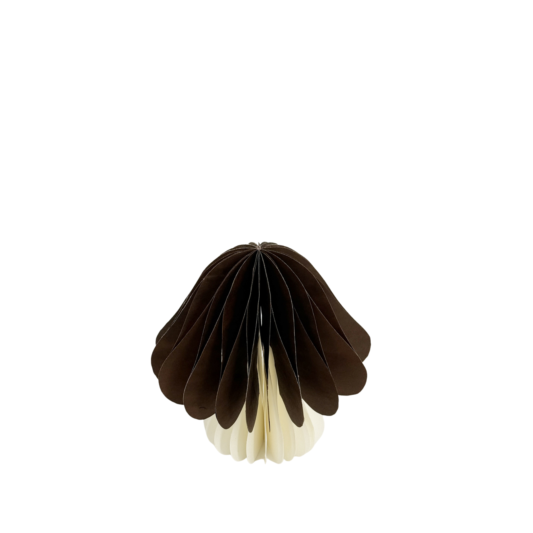 Vilda Papier-Pilz