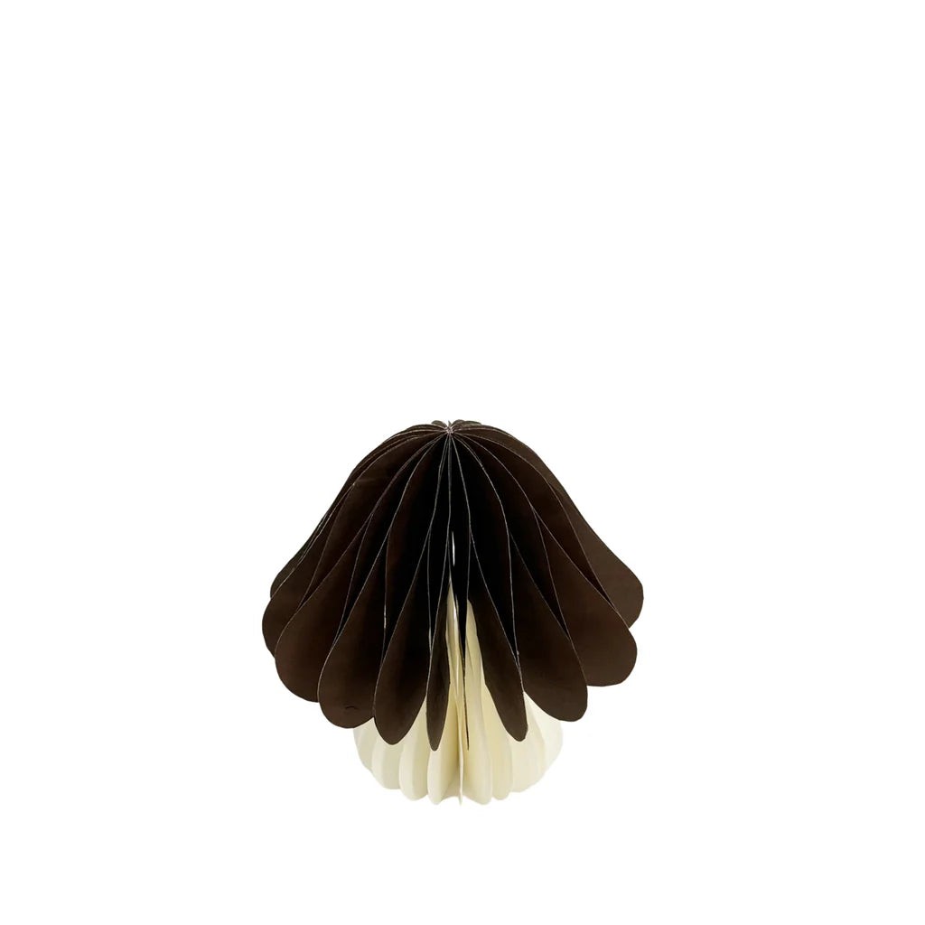 Vilda Papier-Pilz