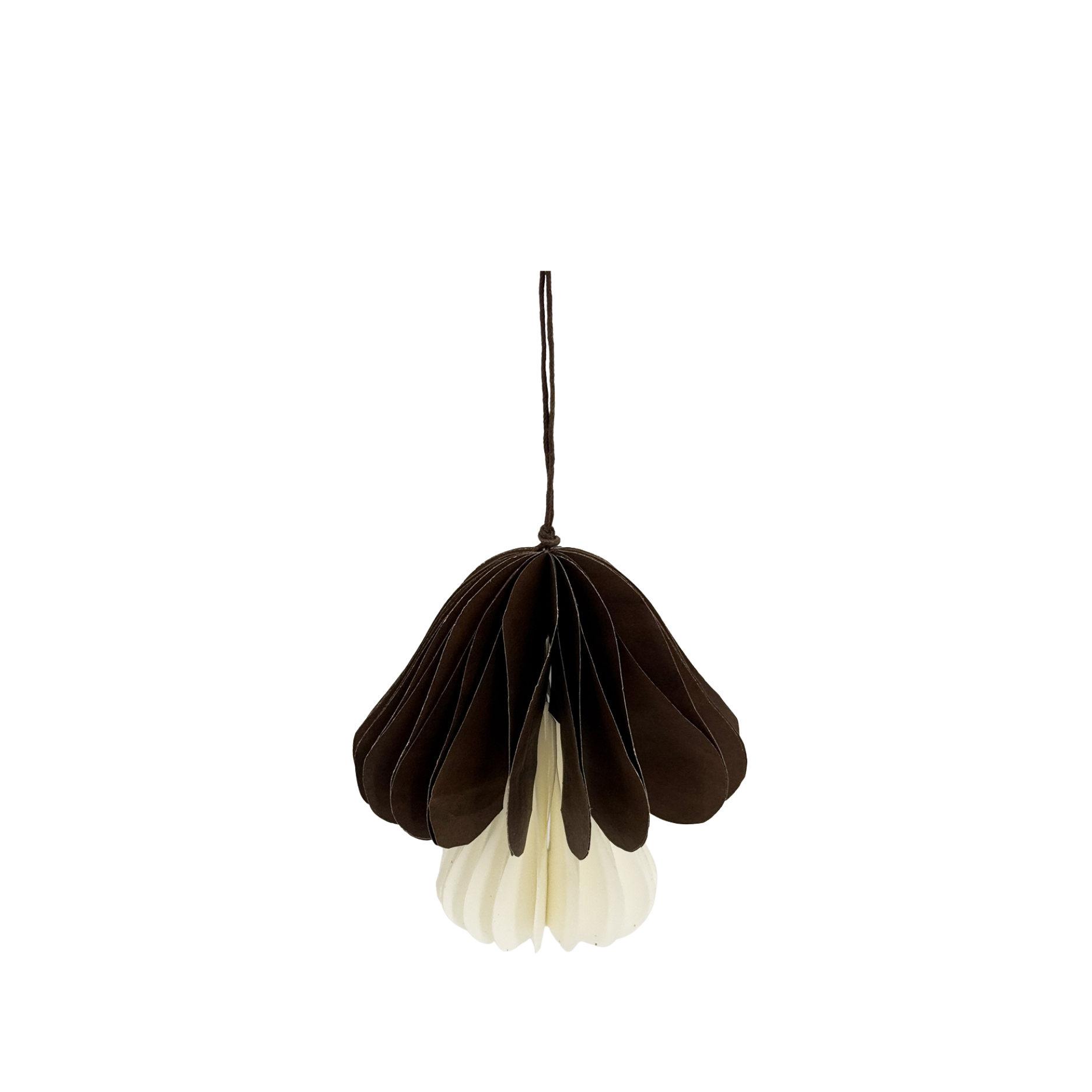 Vilda Papier-Pilz