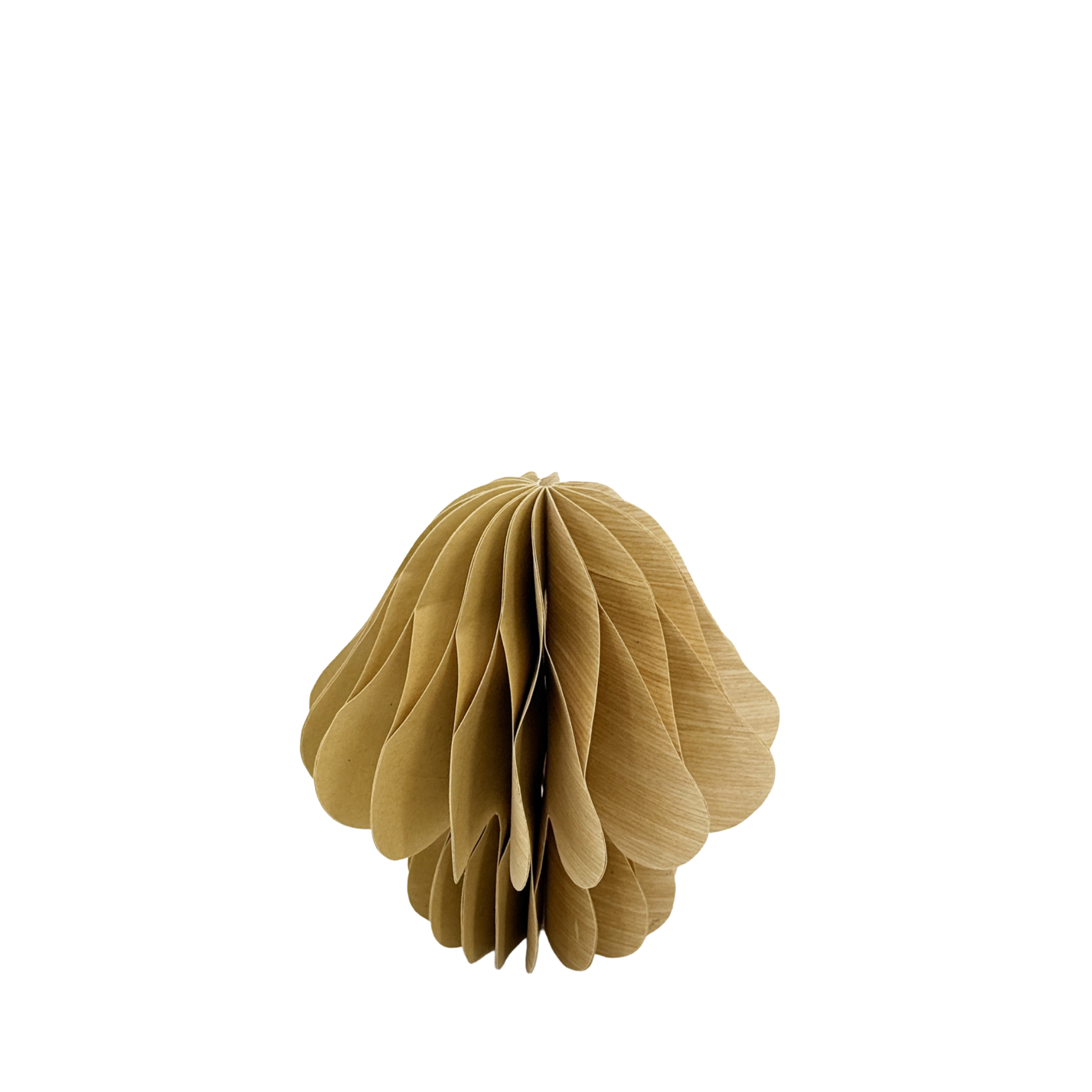 Vilda Papier-Pilz