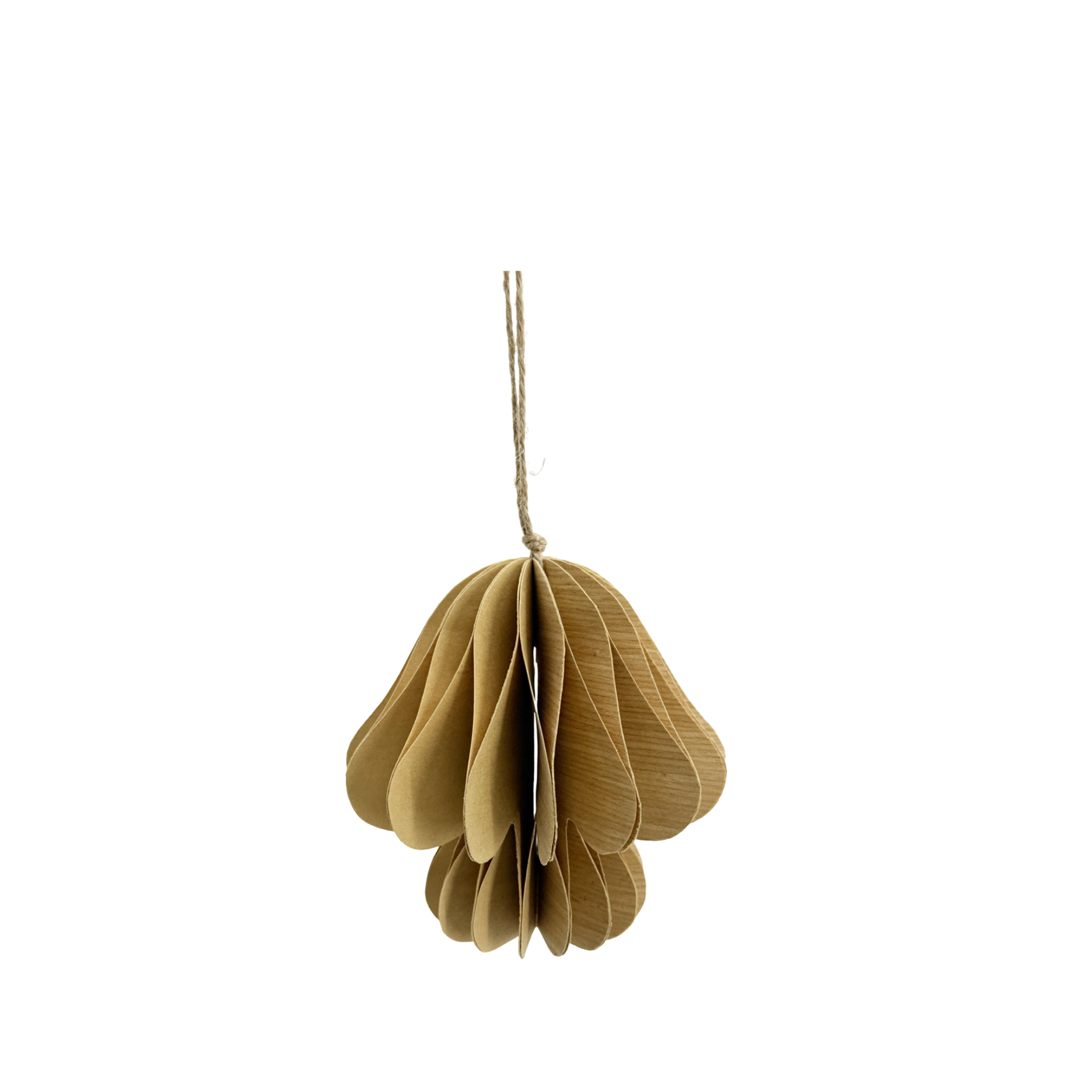 Vilda Papier-Pilz