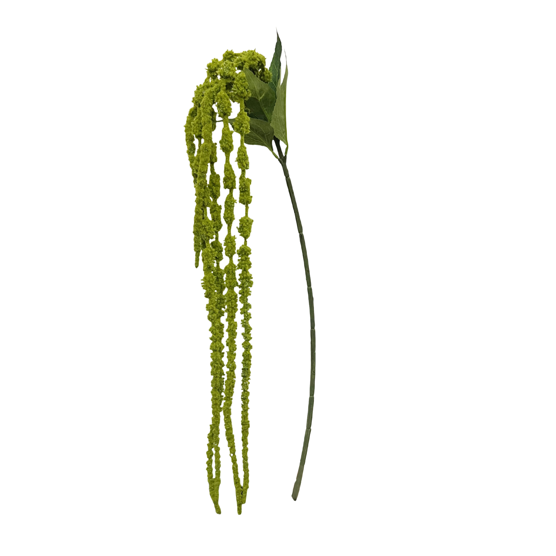 Künstliche Amaranthus