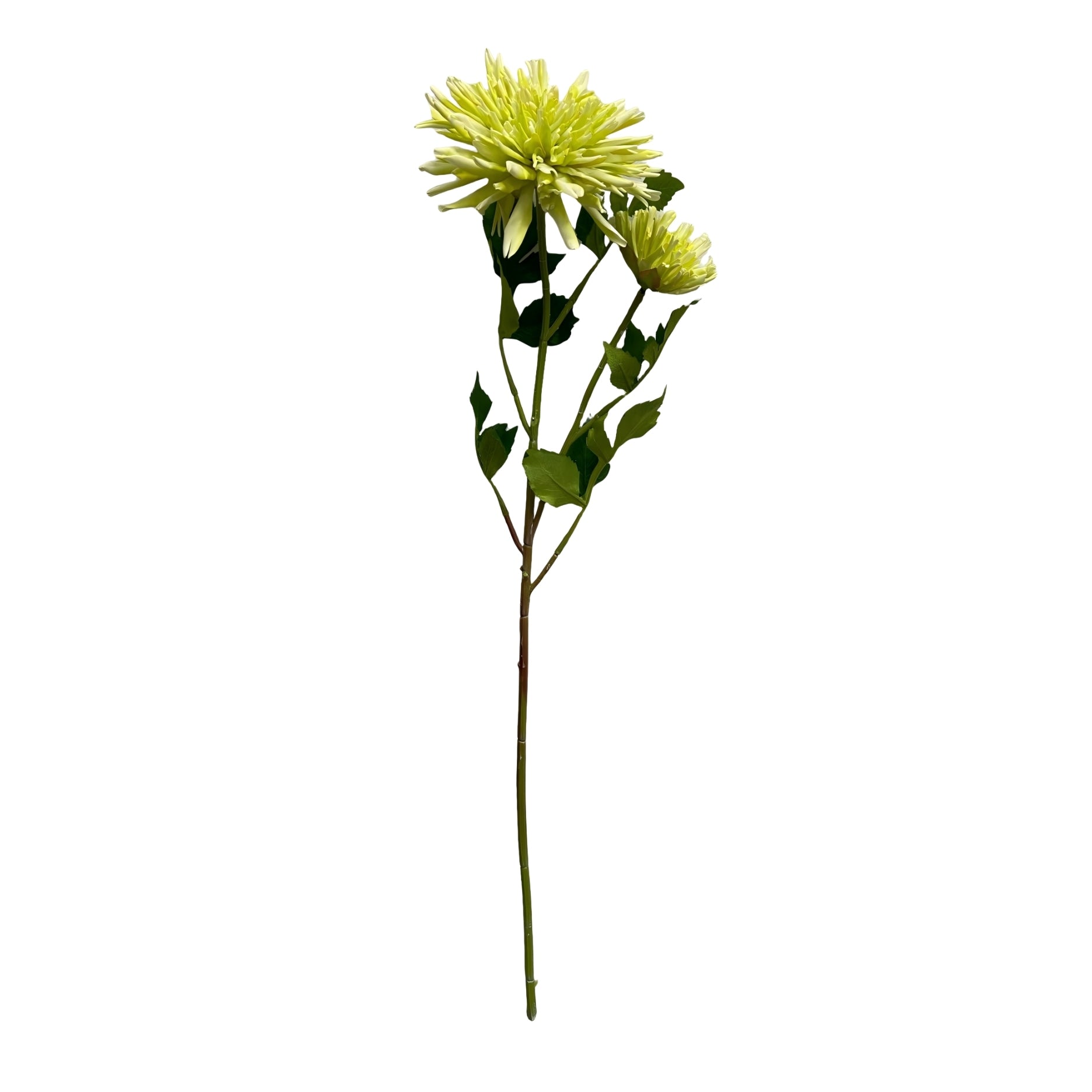 Künstliche Chrysantheme – Real Touch
