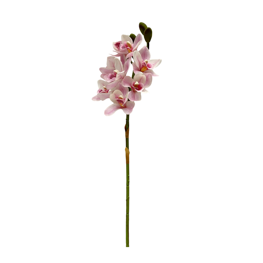 Künstliche Cymbidium-Orchidee, Real Touch