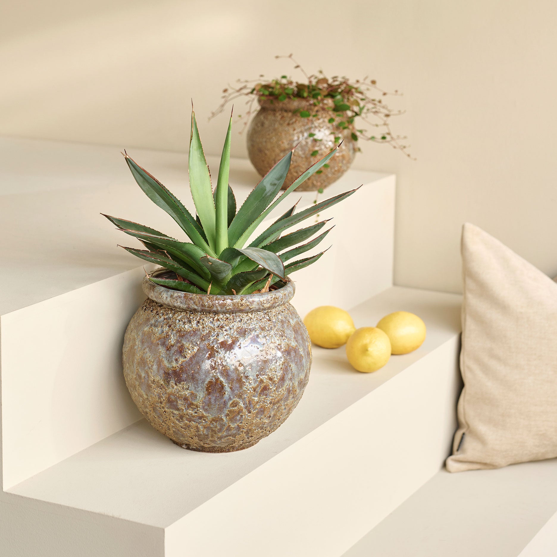 Cille Blumentopf