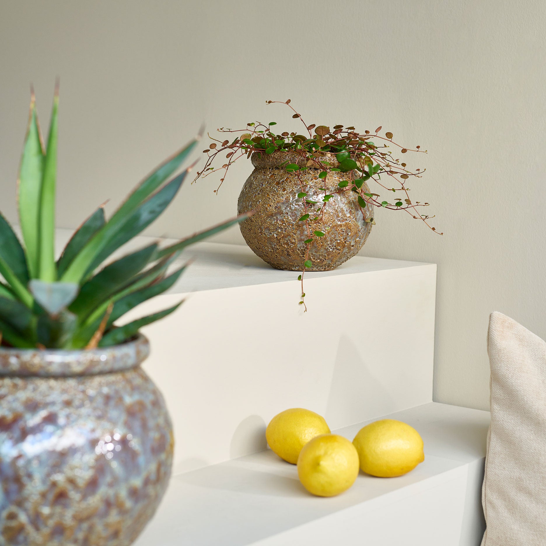 Cille Blumentopf
