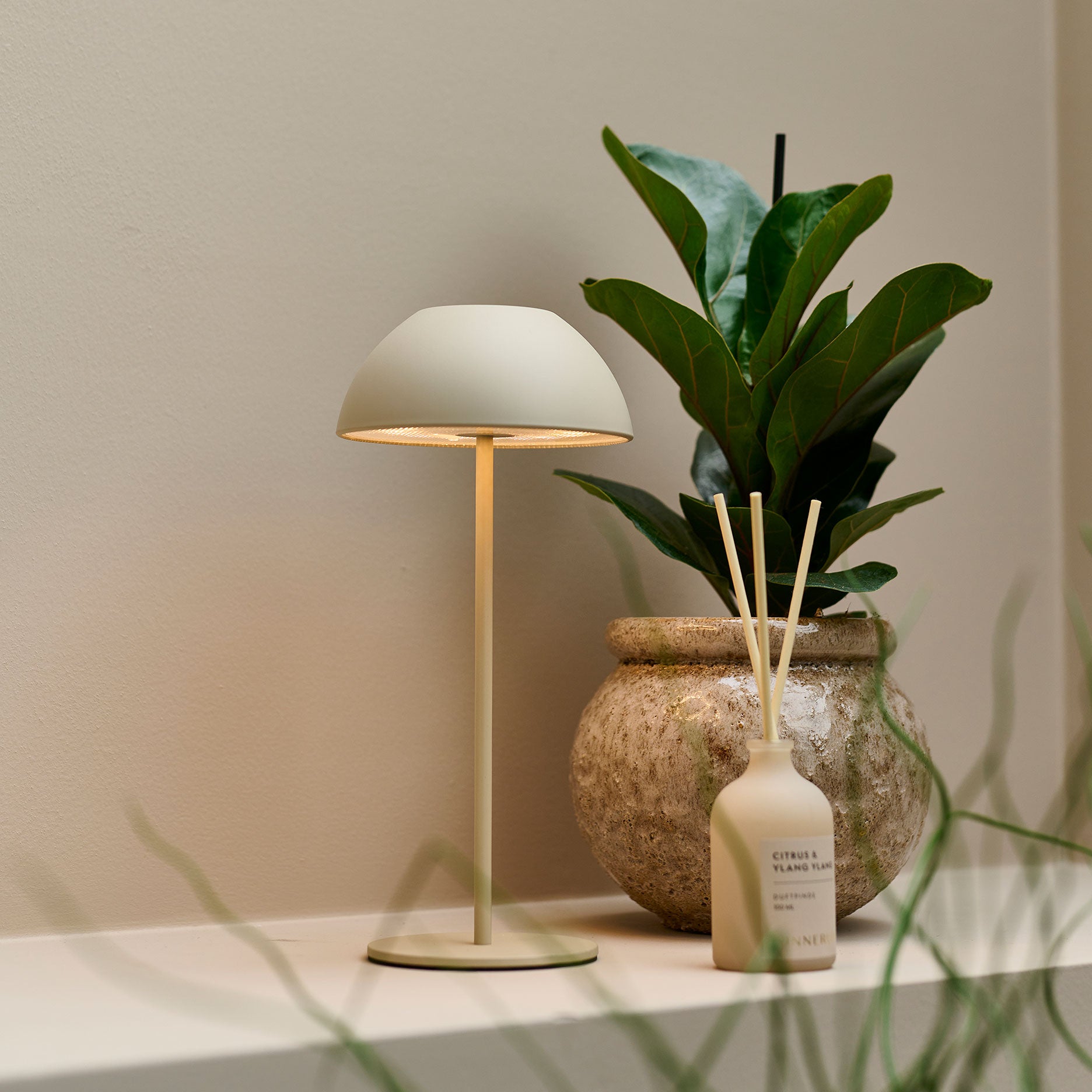 Carino LED Lampe