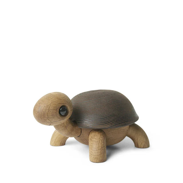 Slowy Schildkröte