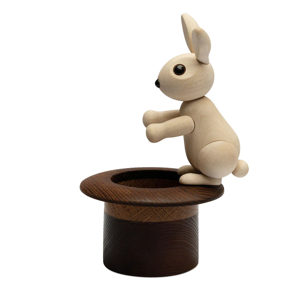 Der Magische Hut mit Hase