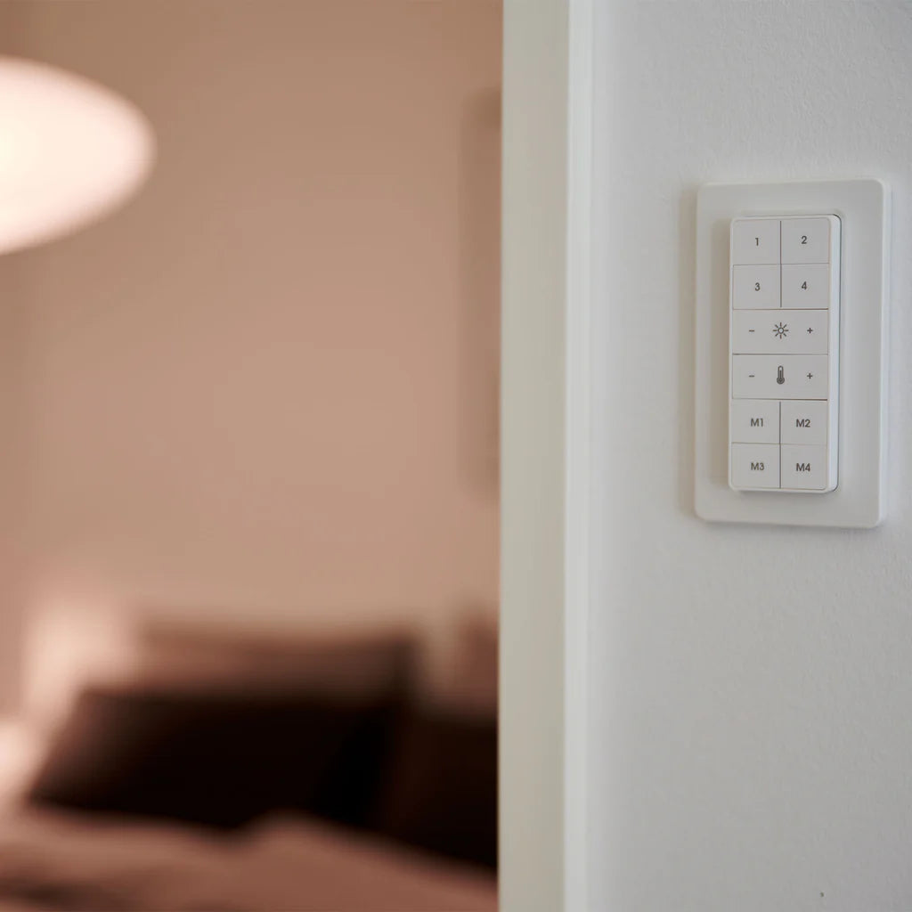 Smart Light Fernbedienung