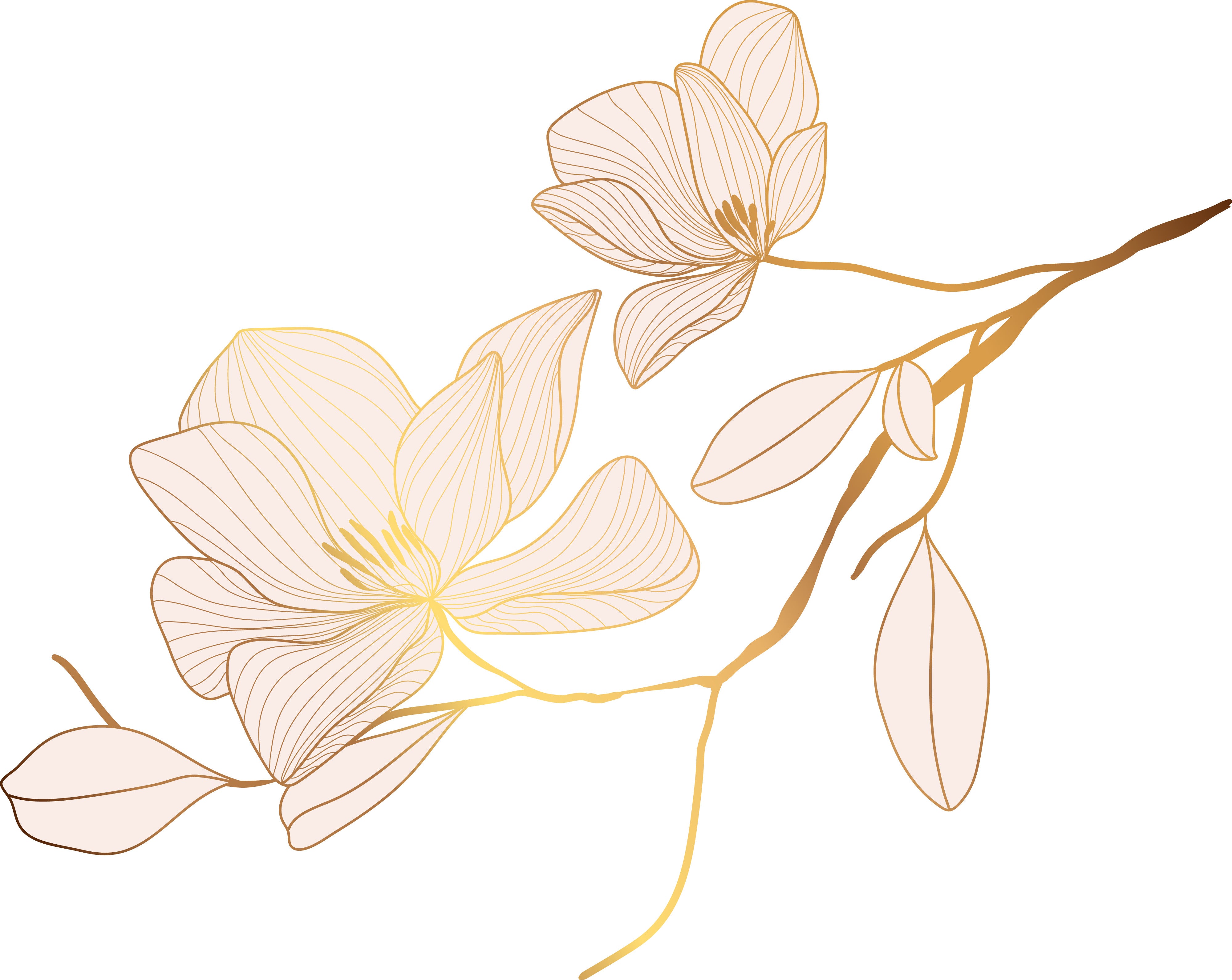 SPROUT